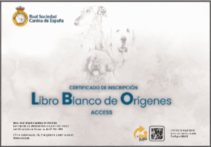 Pedigree RSCE ACCESS