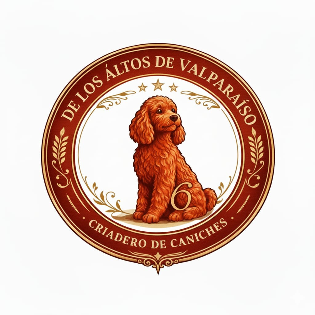 DE LOS ALTOS DE VALPARAISO