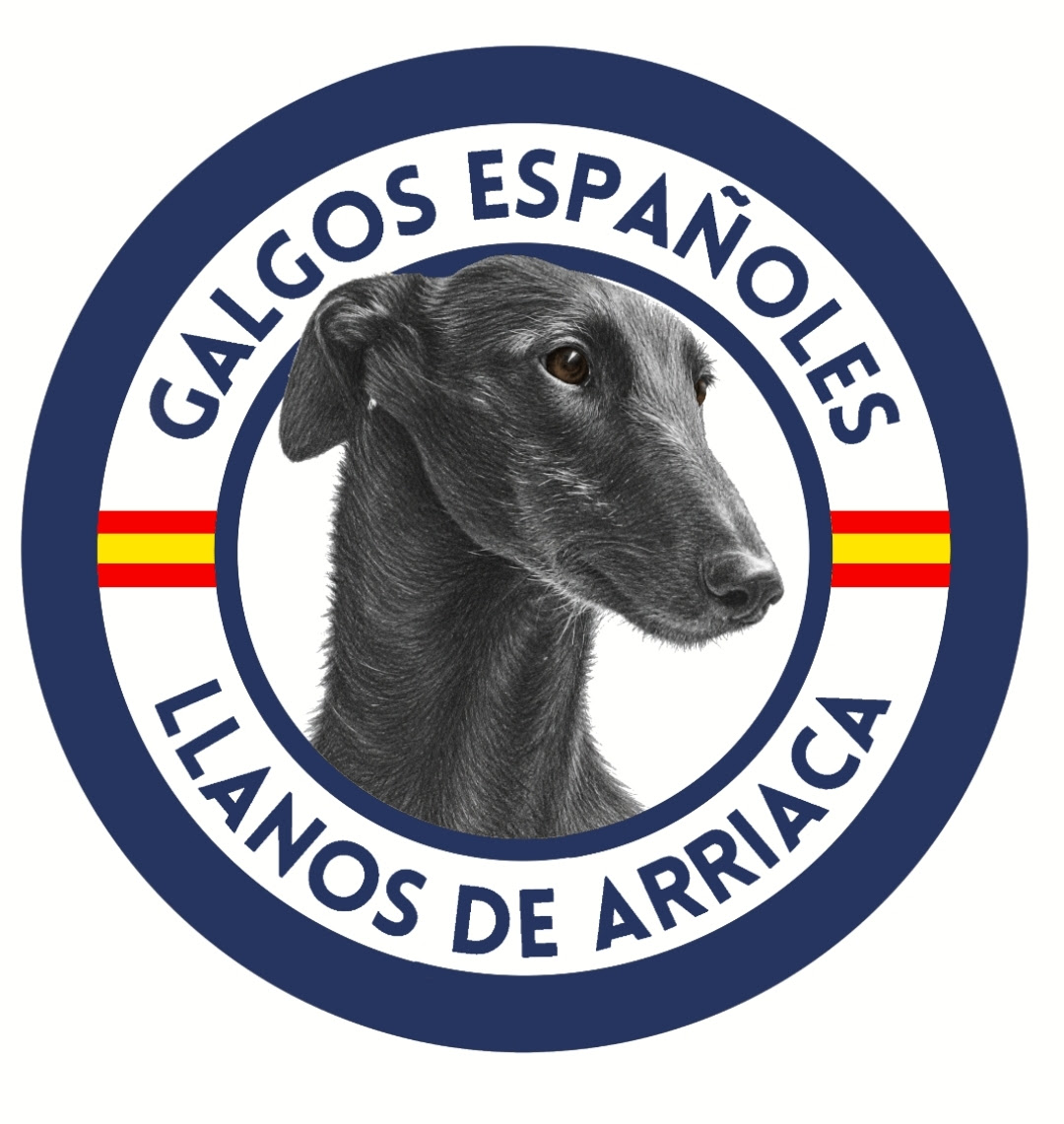 LLANOS DE ARRIACA
